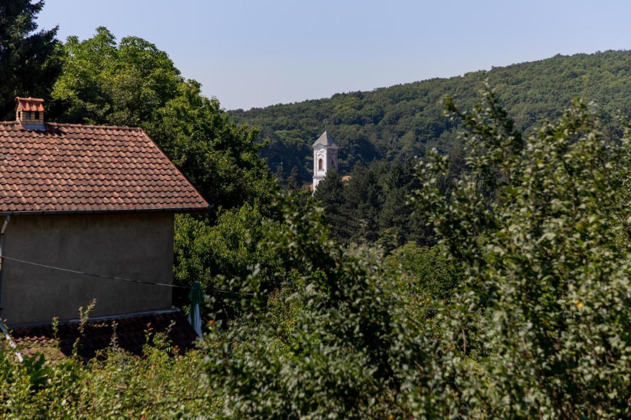 Mi Casa 2 Villa Vrdnik Exterior foto